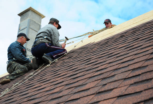 Best Roof Repair Services  in Longtown, OK