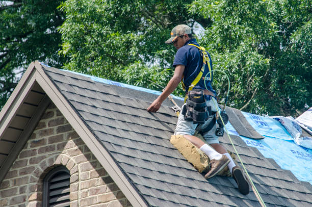 Gutter Installation and Roofing in Longtown, OK